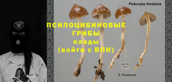 гашик Абдулино