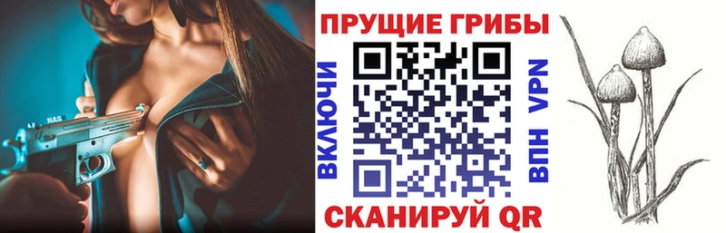 Псилоцибиновые грибы MAGIC MUSHROOMS Ипатово