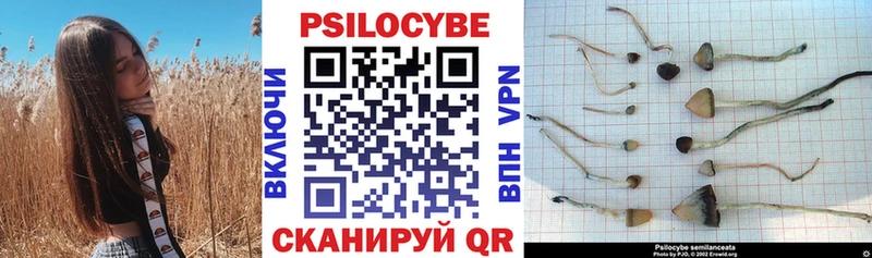 Галлюциногенные грибы мухоморы  магазин продажи наркотиков  Ипатово 
